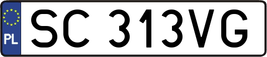 SC313VG