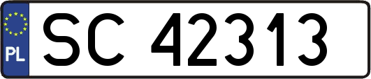 SC42313