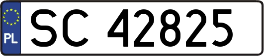 SC42825