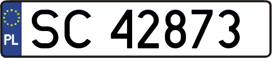 SC42873
