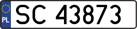 SC43873