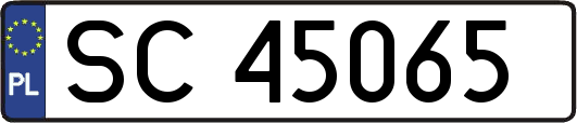 SC45065