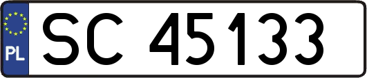 SC45133