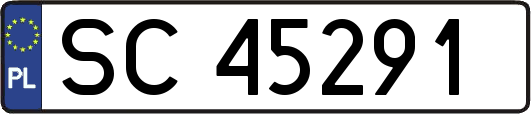 SC45291
