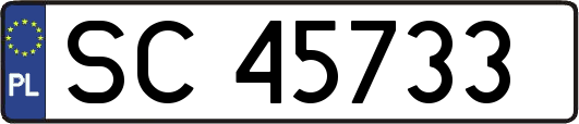 SC45733