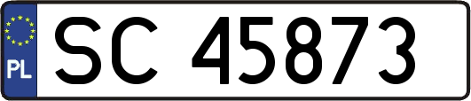 SC45873