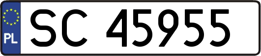 SC45955