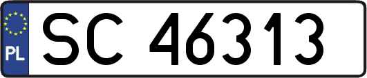 SC46313
