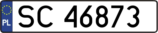 SC46873