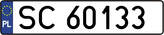 SC60133