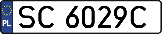 SC6029C