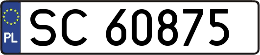 SC60875