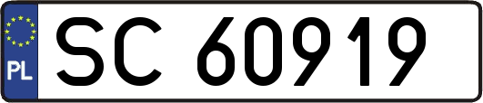 SC60919