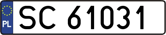 SC61031