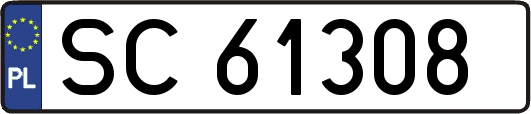 SC61308