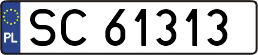 SC61313