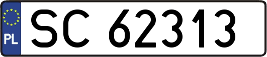 SC62313