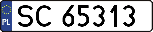 SC65313