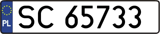 SC65733