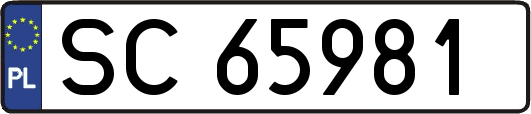 SC65981
