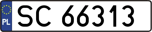 SC66313