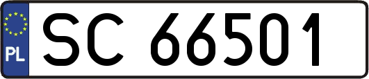 SC66501