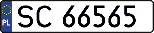 SC66565