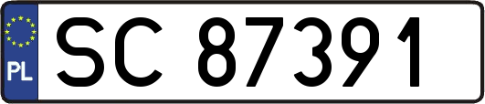 SC87391