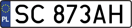 SC873AH