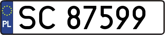SC87599