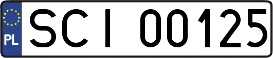 SCI00125