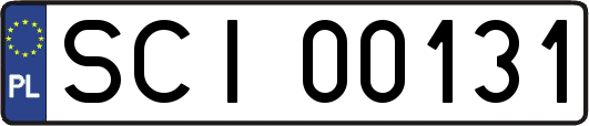 SCI00131
