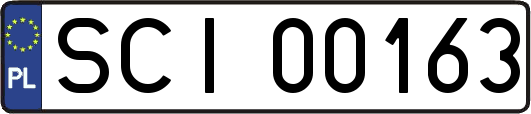 SCI00163