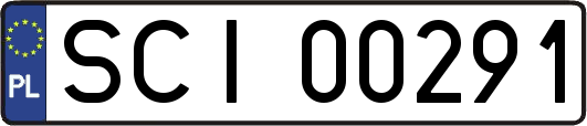 SCI00291