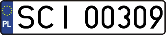 SCI00309