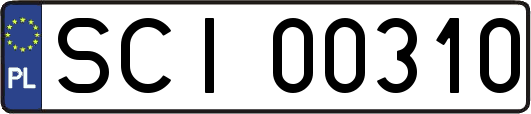 SCI00310