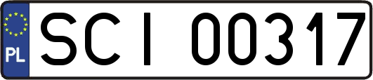 SCI00317