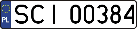SCI00384
