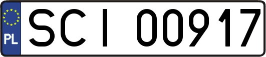SCI00917