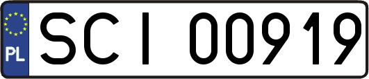 SCI00919