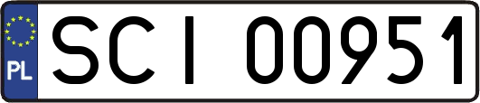 SCI00951