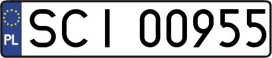 SCI00955