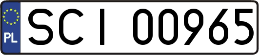 SCI00965