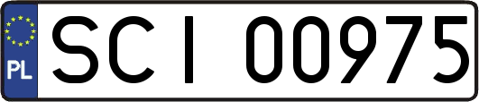 SCI00975