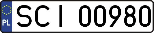 SCI00980
