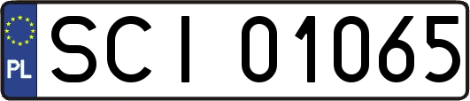 SCI01065