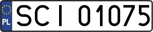 SCI01075
