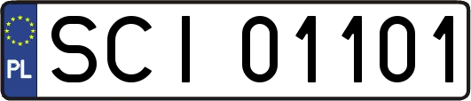 SCI01101