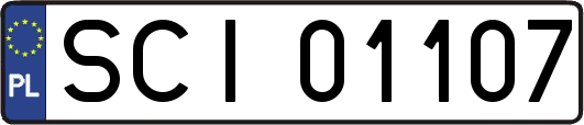 SCI01107