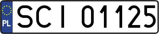 SCI01125